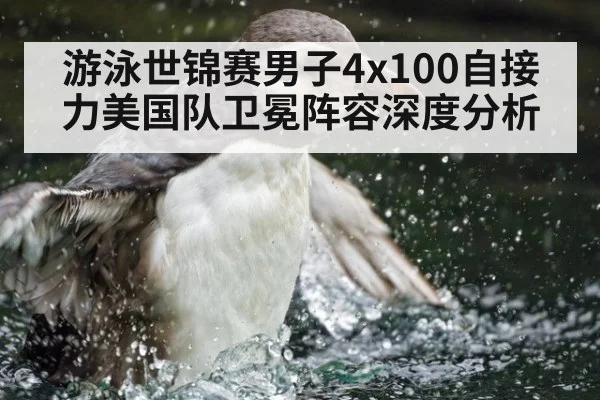 游泳世锦赛男子4x100自接力美国队卫冕阵容深度分析 - jiuyou game